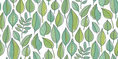 Seamless pattern of stylized leaves in shades of green on white background. Hand-drawn appearance with varied leaf shapes and vein patterns. Ideal for textiles, wallpapers, and graphic design projects vector