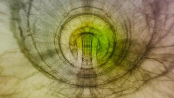 A green and yellow circular object in a photo video