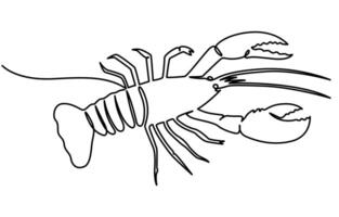 continuous one line drawing red lobster or crayfish minimalist background vector
