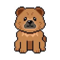 Pixel art cute chow chow dog in retro style vector
