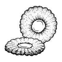 clipart of round shaped Linzer cookies with a jam filling center. Illustration for design purposes. Monochrome detailed ink style drawing, perfect for bakery, food and Christmas projects vector