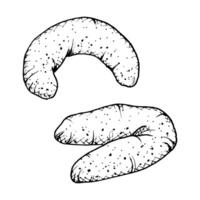 A hand drawn illustrations of a vanilla crescent shaped cookie with a textured. Monochrome sketch of crumbly, soft pastry, ideal for bakery branding, culinary projects, or food themed designs. vector