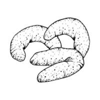 A hand drawn illustrations of a vanilla crescent shaped cookies with a textured. Monochrome sketch of crumbly, soft pastry, ideal for bakery branding, culinary projects, or food themed designs. vector