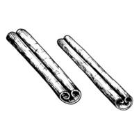 Hand drawn illustration of two cinnamon sticks in detailed black and white line art. Perfect for use in culinary, holiday and aromatic themed designs, packaging and creative projects. vector