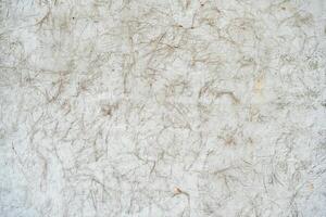 Grey rough wall texture concrete like stone with a mixture of rice straw dry hay. photo