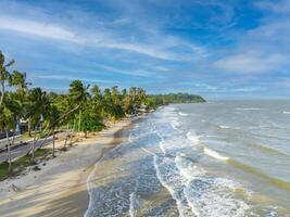 The ariel view of the clear sky with palm trees, fine sand and foam waves splashed to serene beach in Chumphon, Thailand. photo