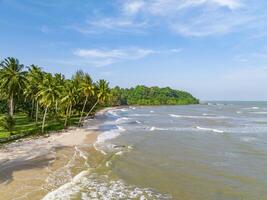The ariel view of the clear sky with palm trees, fine sand and foam waves splashed to serene beach in Chumphon, Thailand. photo