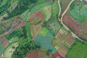 A top view of Chiangmai land showing the organic shape of a boundary and its colorful agriculture. photo