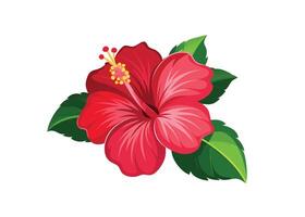A red hibiscus flower on a white background vector