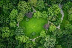 Aerial view of lush green park. photo