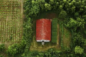 Aerial view of a red-roofed barn nestled in a lush green landscape with vineyards. photo