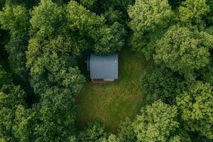 Secluded cabin nestled in lush green forest. photo