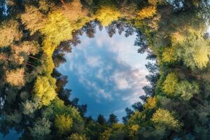 Autumn forest canopy creating a circular frame around a cloudy sky. photo