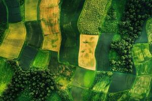 Aerial view of patchwork farmland. photo
