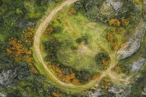 Aerial view of a circular path in a green landscape with yellow flowers. photo