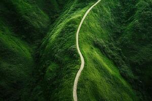 Winding road through lush green hills. photo