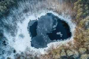Aerial view of frozen lake in snowy forest. photo