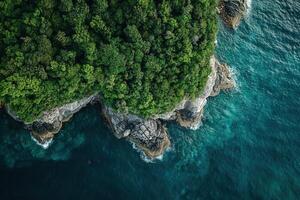 Lush green clifftop forest meets turquoise ocean. photo