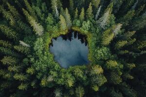 Aerial view of a secluded forest pond. photo