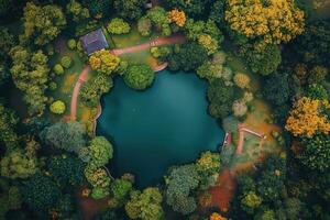 Aerial view of a serene pond surrounded by lush greenery in a park. photo