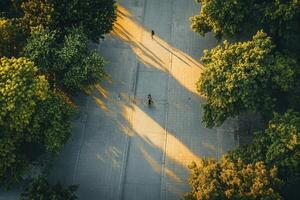 Aerial view of a city street lined with trees, with people walking. photo