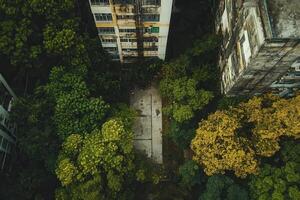 Overgrown urban courtyard between buildings. photo