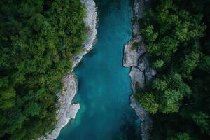 Aerial view of a turquoise river flowing between lush green forests. photo