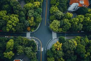 Aerial view of a lush green intersection. photo