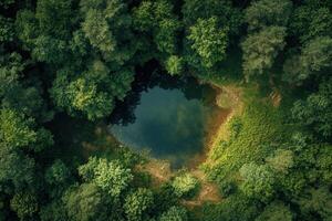 Aerial view of a secluded forest pond photo