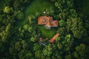 Aerial view of a secluded house nestled in lush green forest. photo