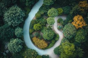Aerial view of a winding path through a lush garden. photo