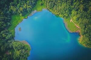 Aerial view of a serene lake surrounded by lush green forest. photo