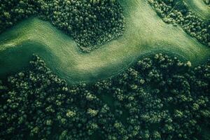 Aerial view of rolling green hills and lush forest. photo