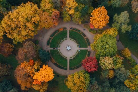 Aerial view of autumnal park with circular garden. photo