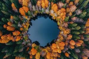 Aerial view of a circular lake surrounded by autumn trees. photo