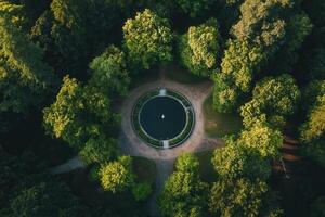 Aerial view of a circular pond surrounded by lush green trees in a park. photo