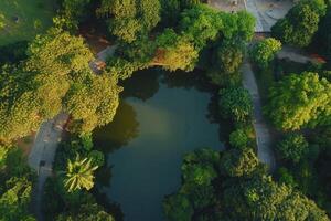 Aerial view of a tranquil park pond surrounded by lush greenery and winding paths. photo