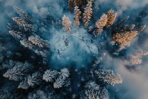 Aerial view of a frozen pond in a snow-covered forest. photo