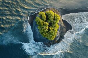 Aerial view of a small island with a lush green tree surrounded by ocean waves. photo