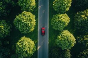 Red car driving on a road lined with green trees, aerial view. photo