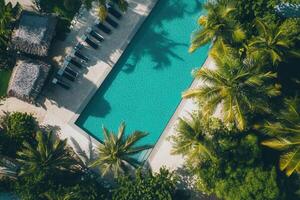 Aerial view of a turquoise swimming pool surrounded by palm trees and lounge chairs. photo