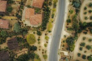Aerial view of a residential street lined with houses and trees. photo