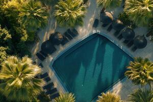 Aerial view of a tropical resort pool. photo