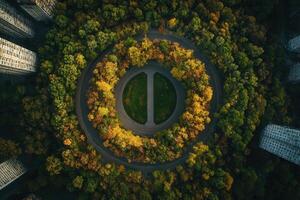 Aerial view of circular park in autumn. photo
