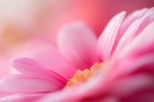 Close-up of a pink flower, soft focus, delicate petals. photo