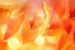 Abstract close-up of orange leaves with bokeh background. photo
