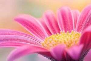Close-up of a vibrant pink flower with yellow center, soft focus background. photo