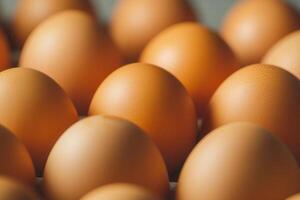 Close-up of many brown chicken eggs in a carton. photo