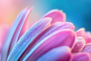 Close-up of pink flower petals with dew drops, vibrant colors, soft focus. photo