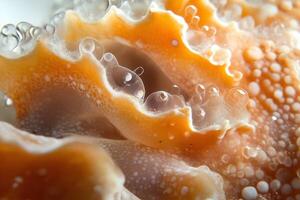 Close-up of seashell texture with air bubbles. photo